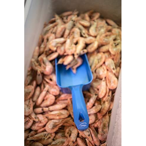 Vikan 56774 Hand Scoop, 0.5 Litre, Red